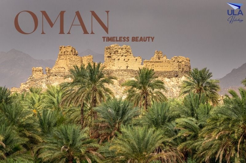 Explore the Charm of Oman