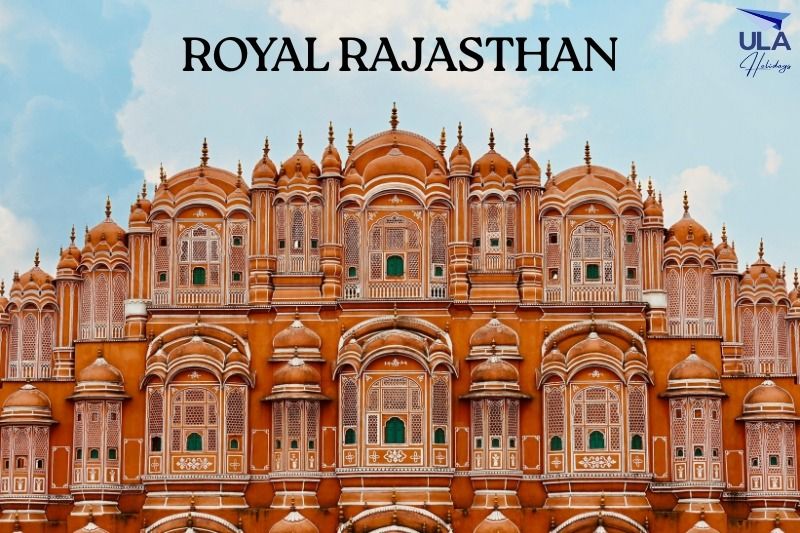 Rajasthan Royalty