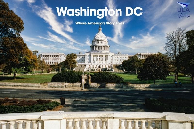 Washington D.C